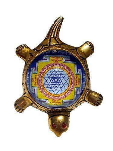 1 Dhan Laxmi Tortoise for Good Luck, Wealth & Vaastu Prosperity (Only Kachua)