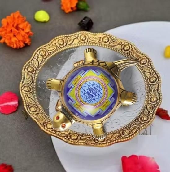 1 Dhan Laxmi Tortoise for Good Luck, Wealth & Vaastu Prosperity (Only Kachua)