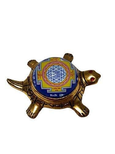 1 Dhan Laxmi Tortoise for Good Luck, Wealth & Vaastu Prosperity (Only Kachua)
