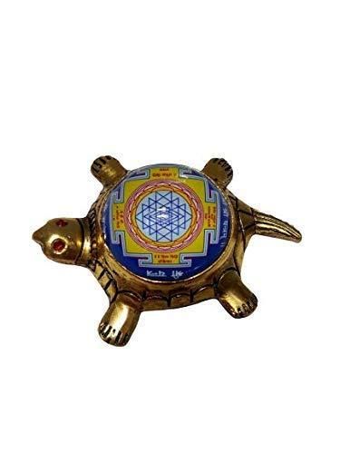 1 Dhan Laxmi Tortoise for Good Luck, Wealth & Vaastu Prosperity (Only Kachua)