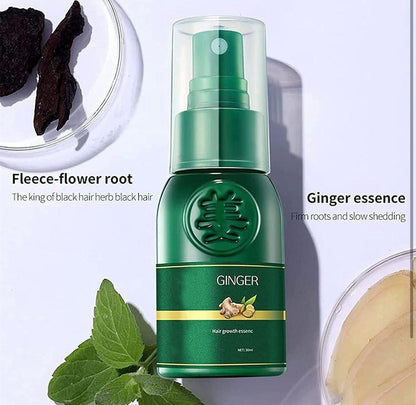 Japanese Hair Growth Spray with Ginger 100ml (Pack of 2)