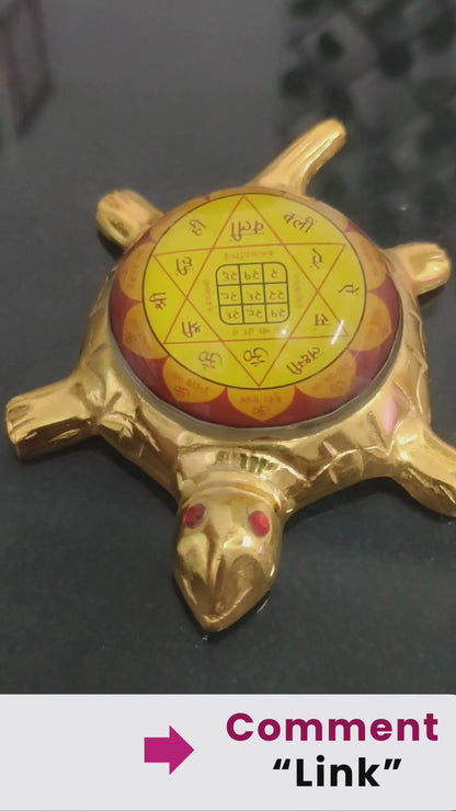 1 Dhan Laxmi Tortoise for Good Luck, Wealth & Vaastu Prosperity (Only Kachua)